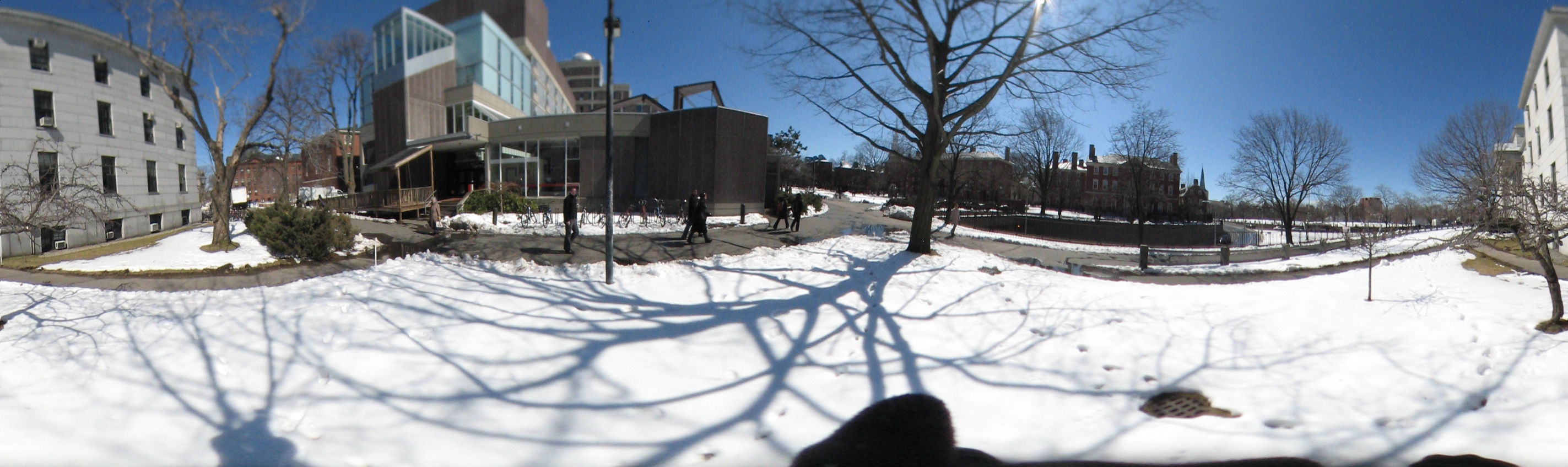 March 20, 2007, Harvard - Cambridge - Freshpond