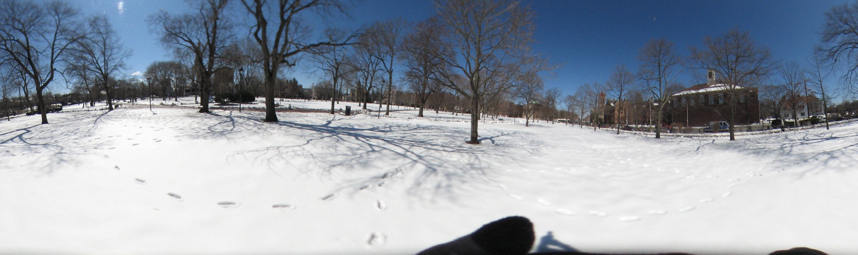 March 20, 2007, Harvard - Cambridge - Freshpond