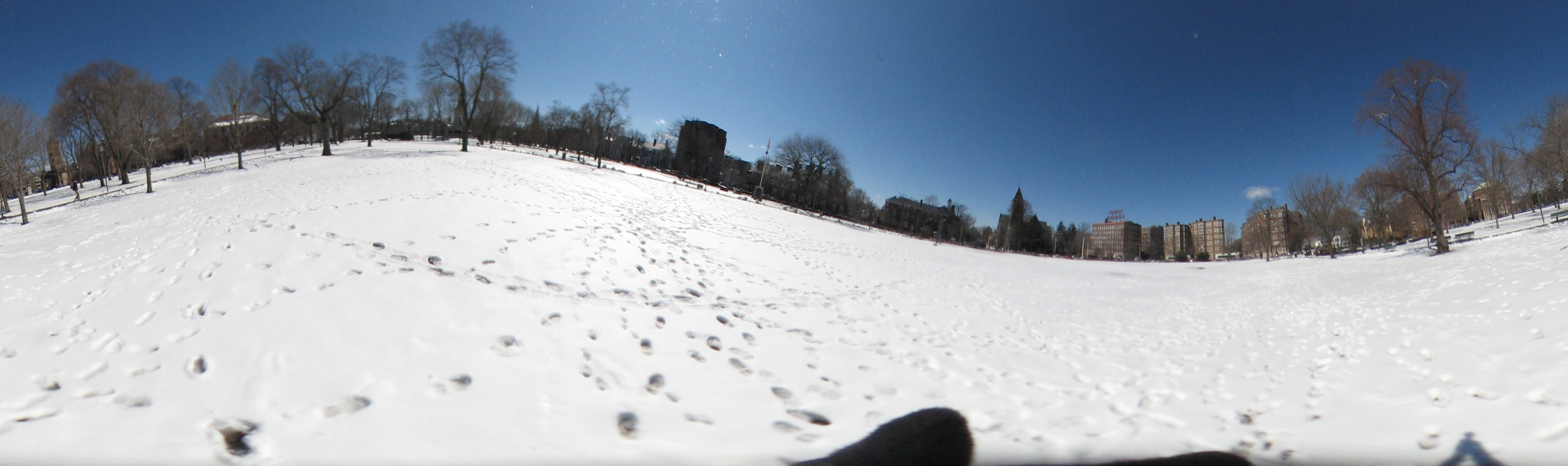 March 20, 2007, Harvard - Cambridge - Freshpond