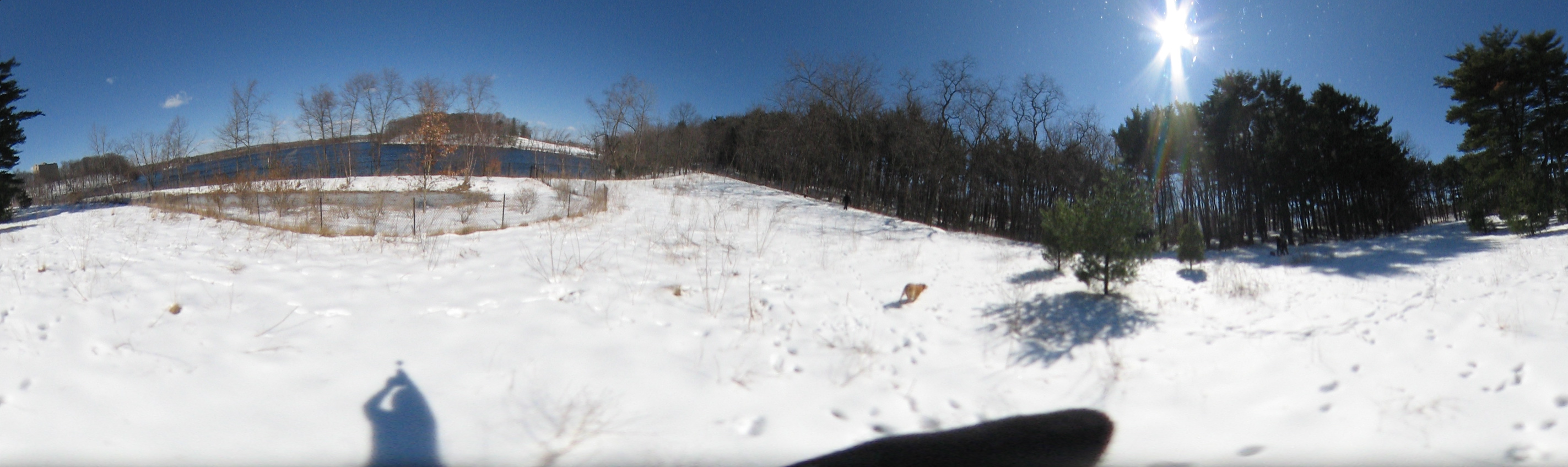 March 20, 2007, Harvard - Cambridge - Freshpond