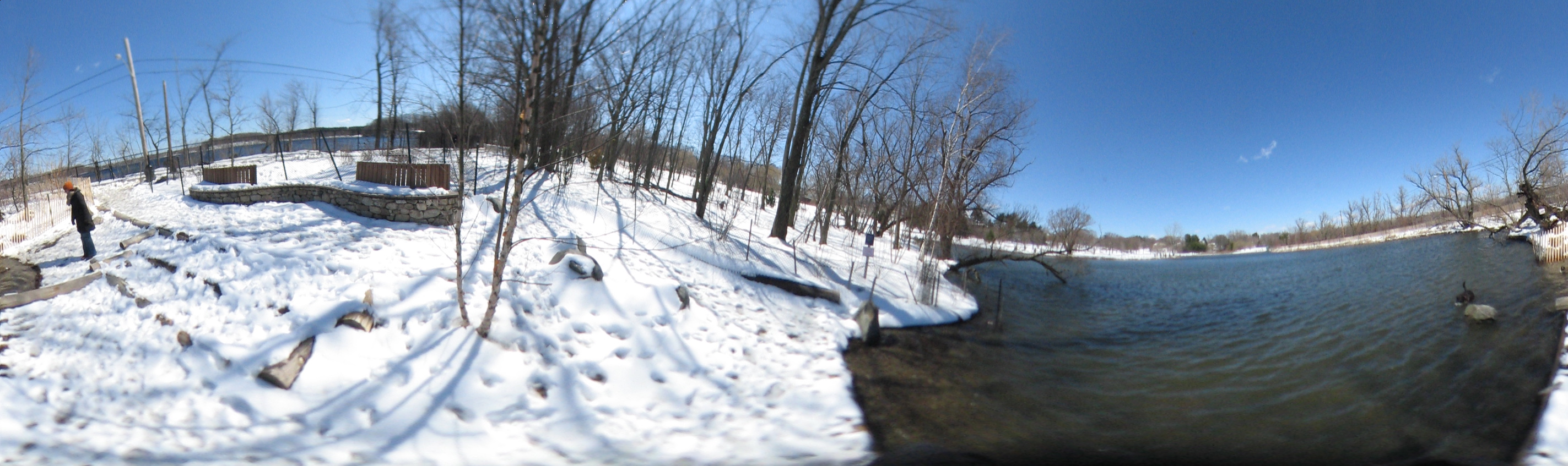 March 20, 2007, Harvard - Cambridge - Freshpond