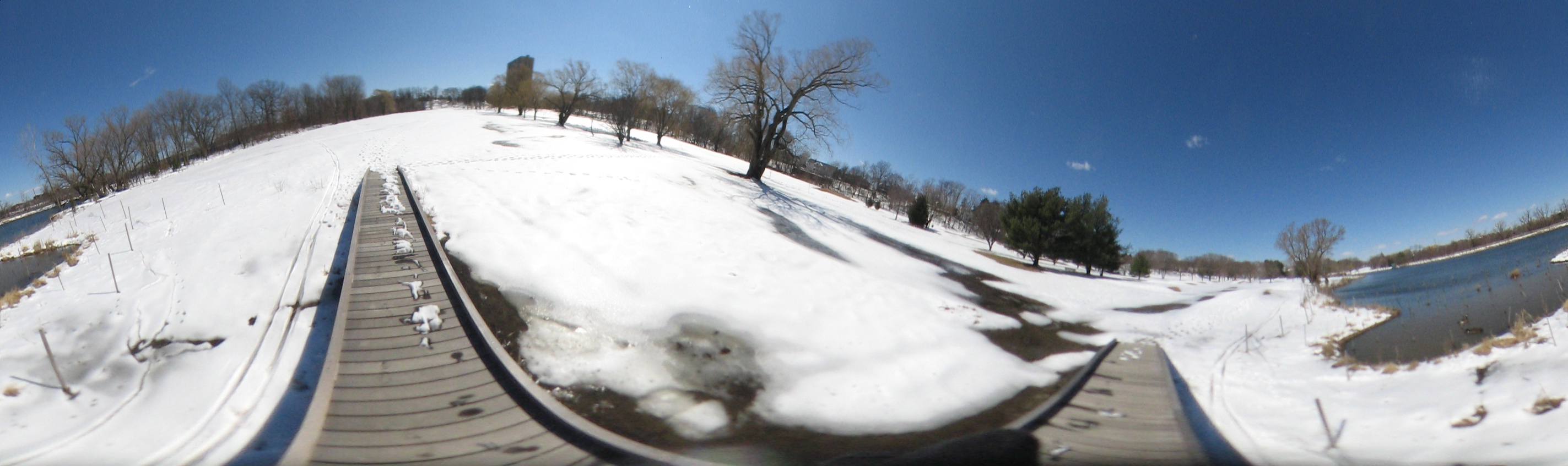 March 20, 2007, Harvard - Cambridge - Freshpond