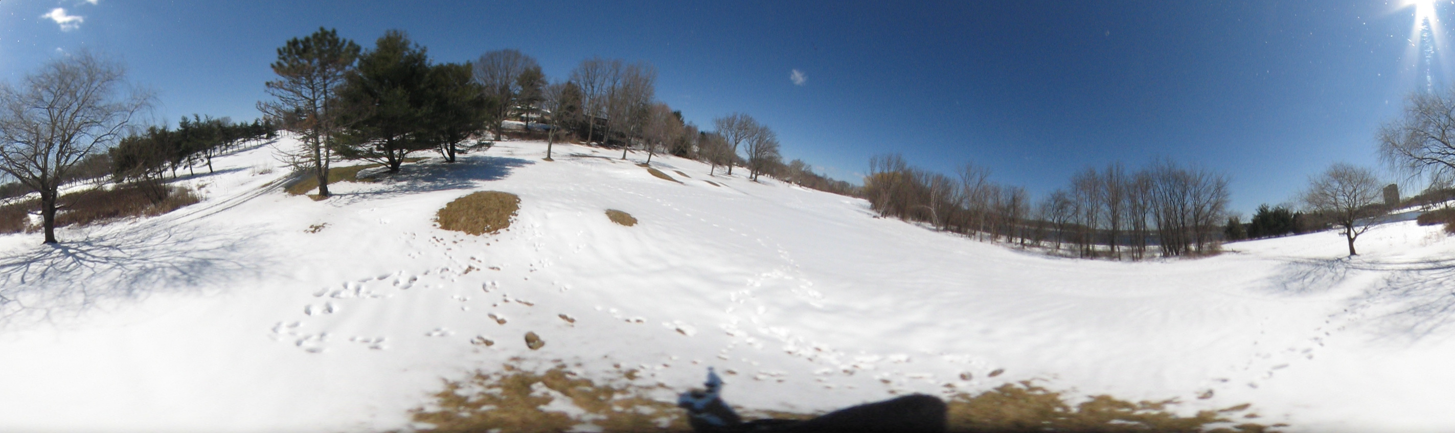 March 20, 2007, Harvard - Cambridge - Freshpond