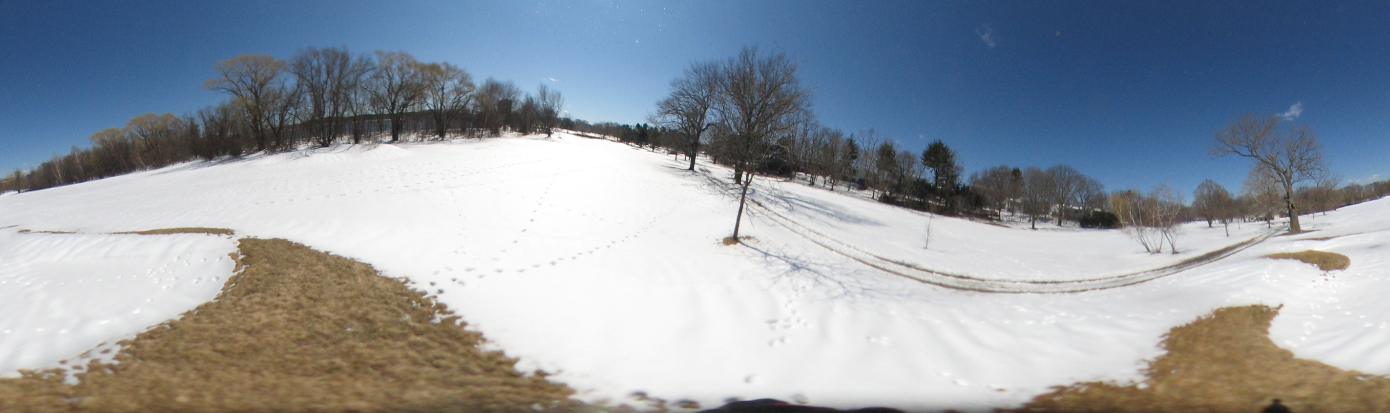 March 20, 2007, Harvard - Cambridge - Freshpond
