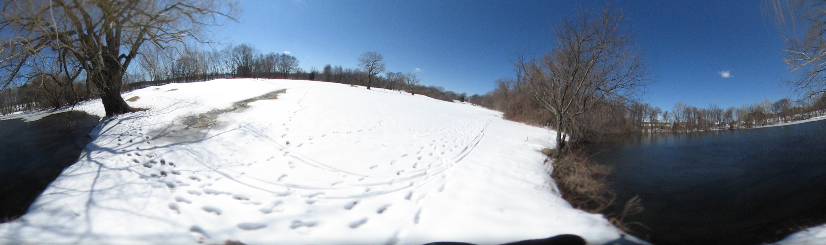 March 20, 2007, Harvard - Cambridge - Freshpond