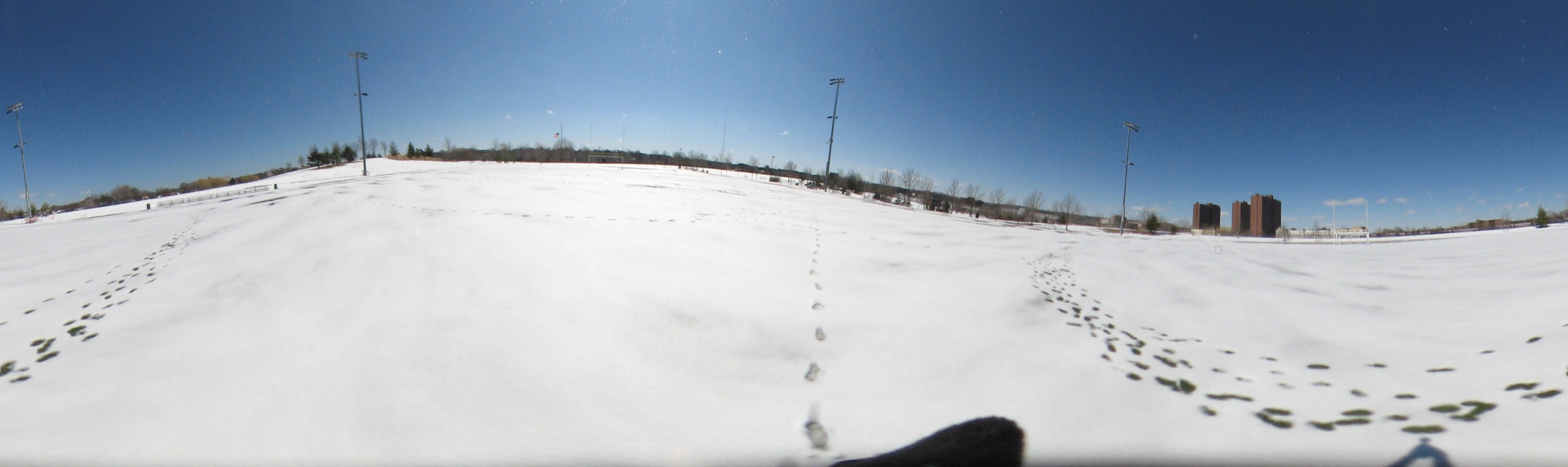 March 20, 2007, Harvard - Cambridge - Freshpond