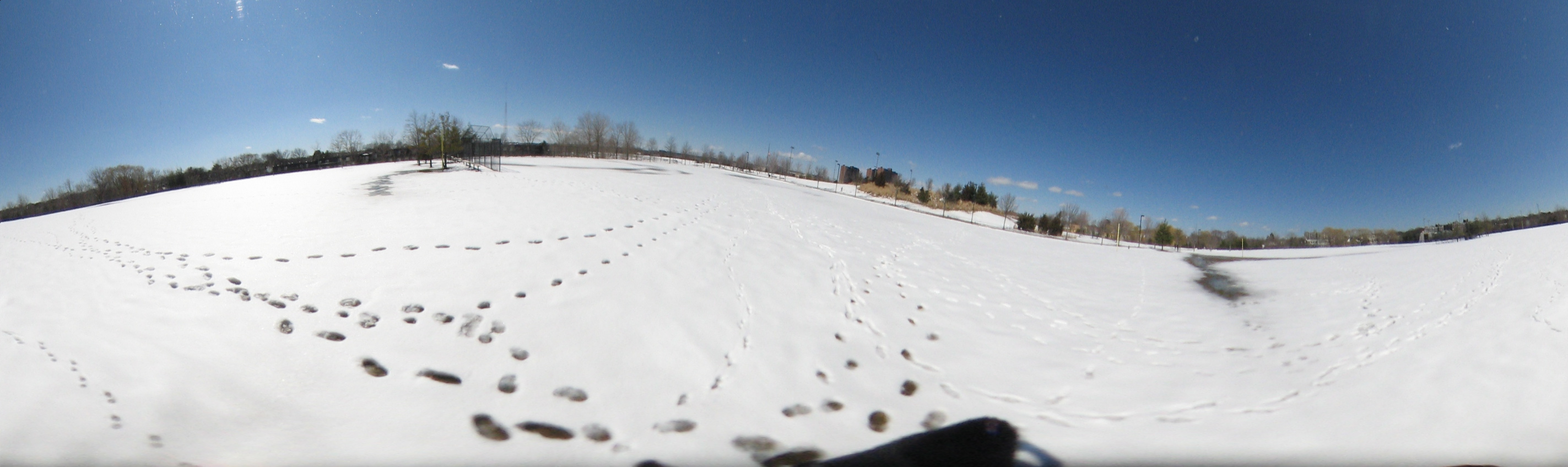 March 20, 2007, Harvard - Cambridge - Freshpond