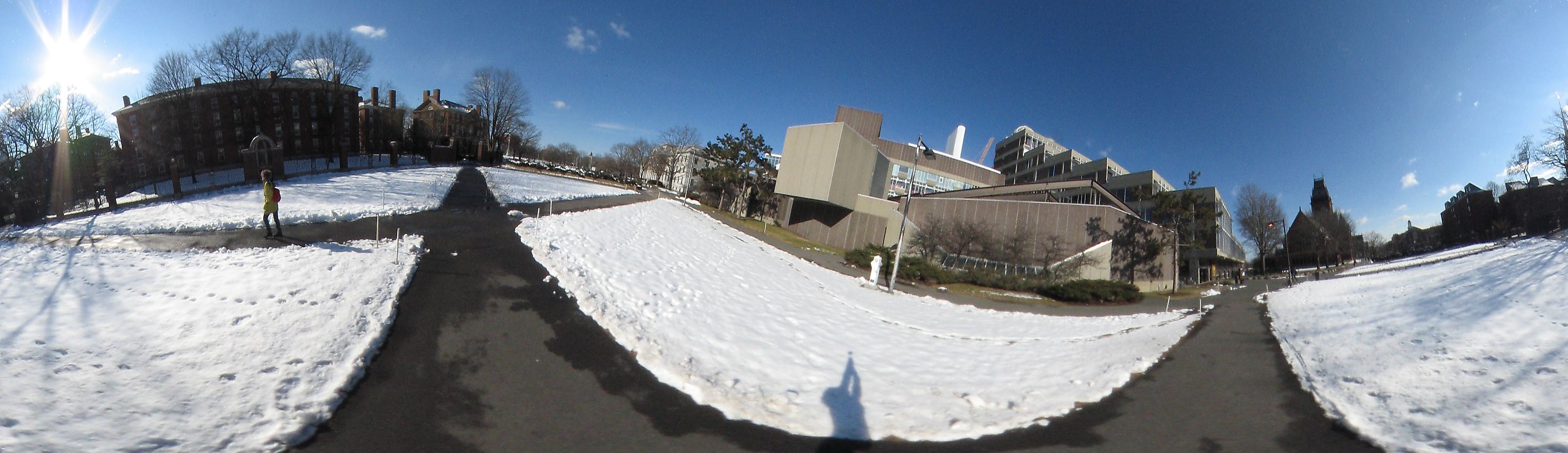 Harvard square near Harvard University