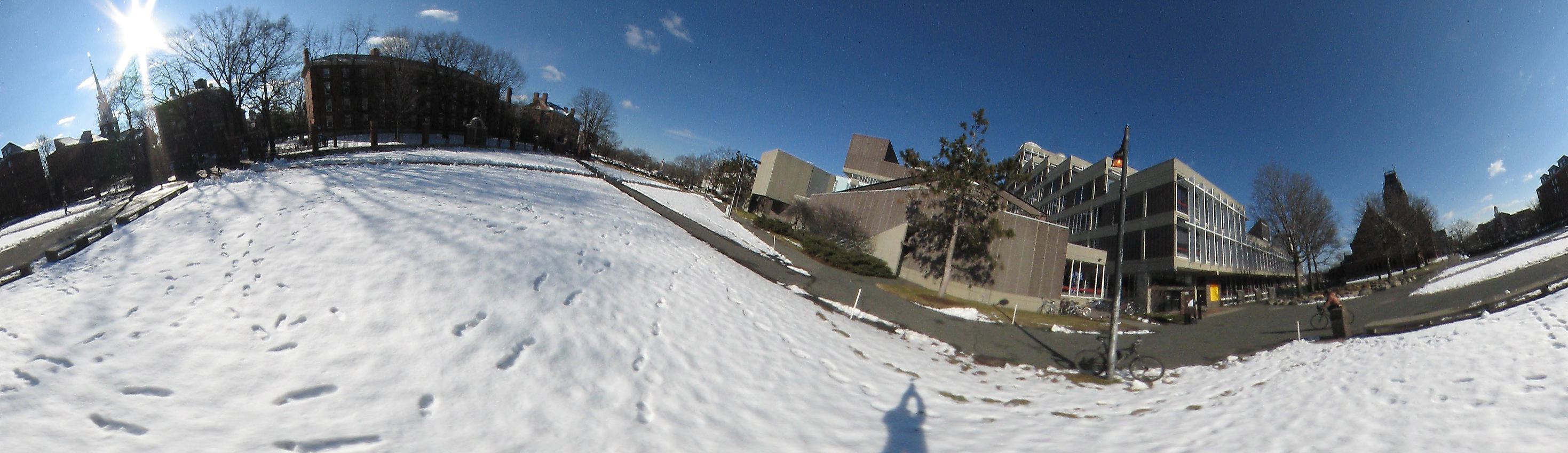 Harvard square near Harvard University