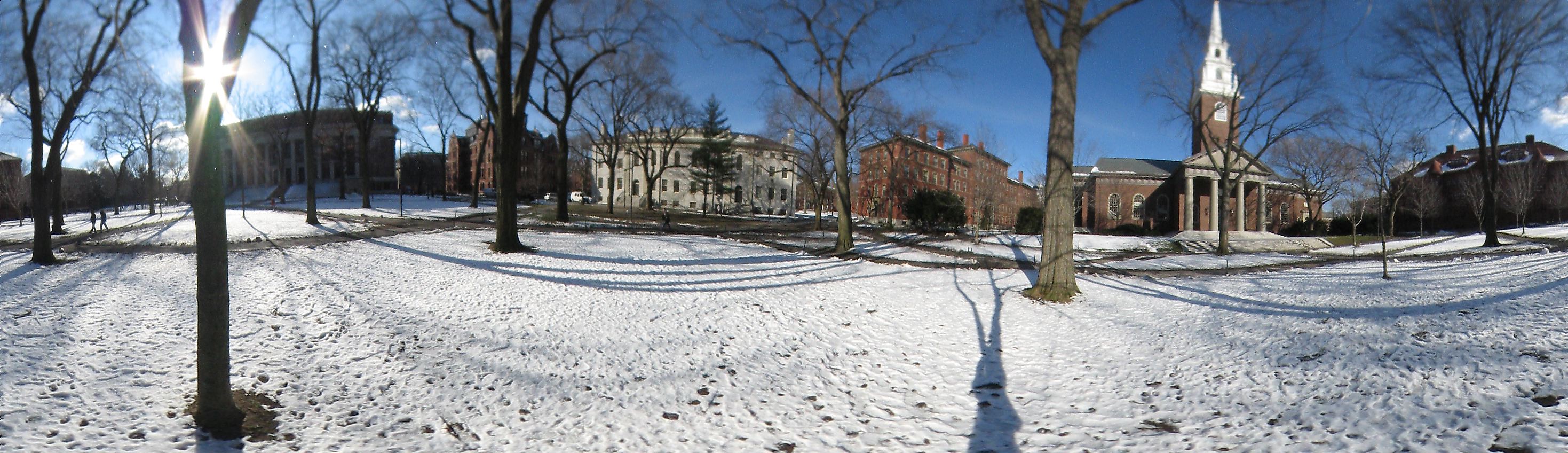 Harvard yard, Harvard University