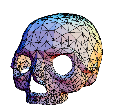 skull.jpg