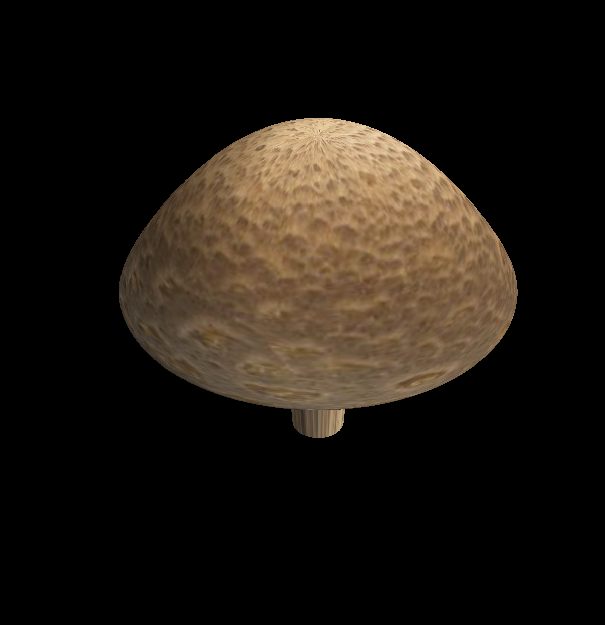 arakua_welbeck_mushroom.png