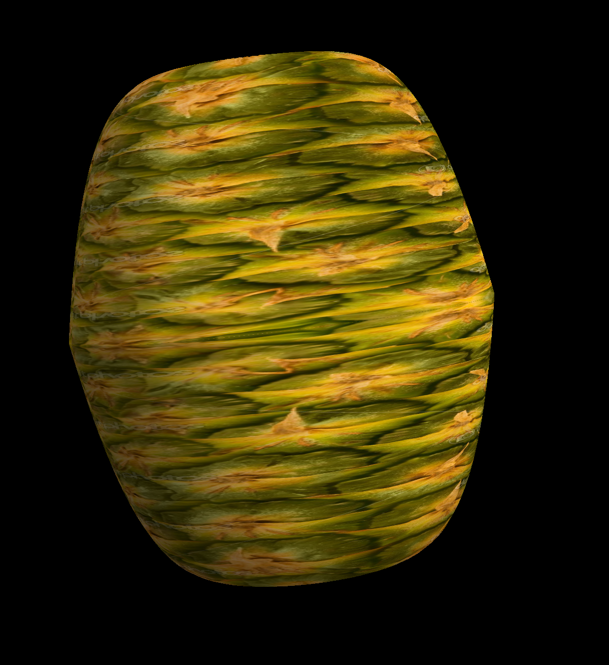 yucheng_pan_pineapple.png