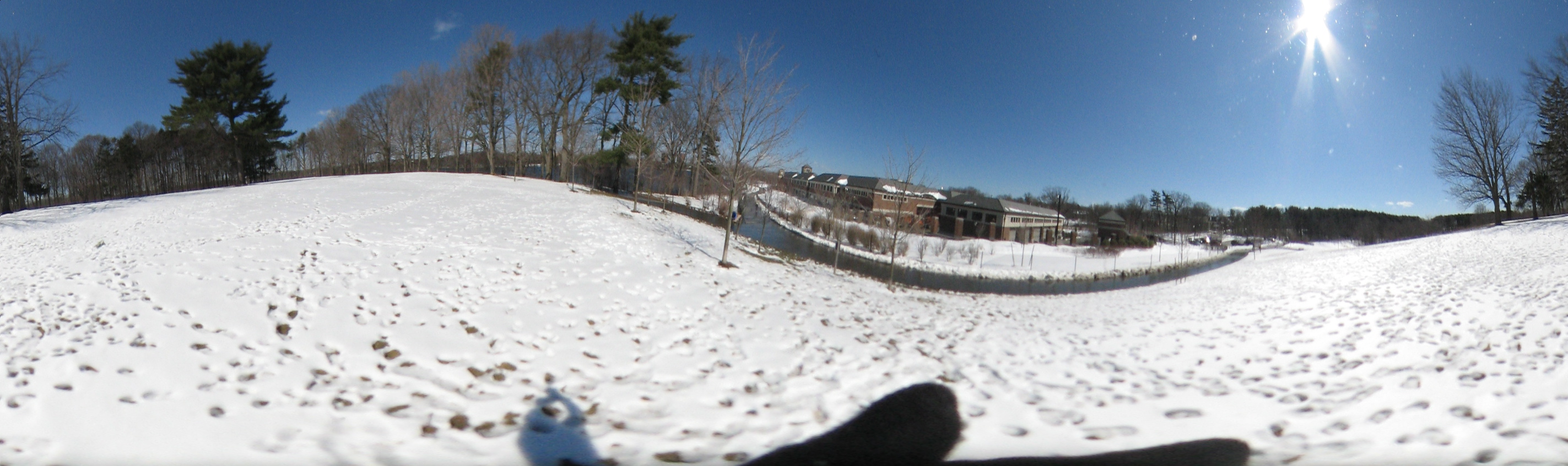 March 20, 2007, Harvard - Cambridge - Freshpond