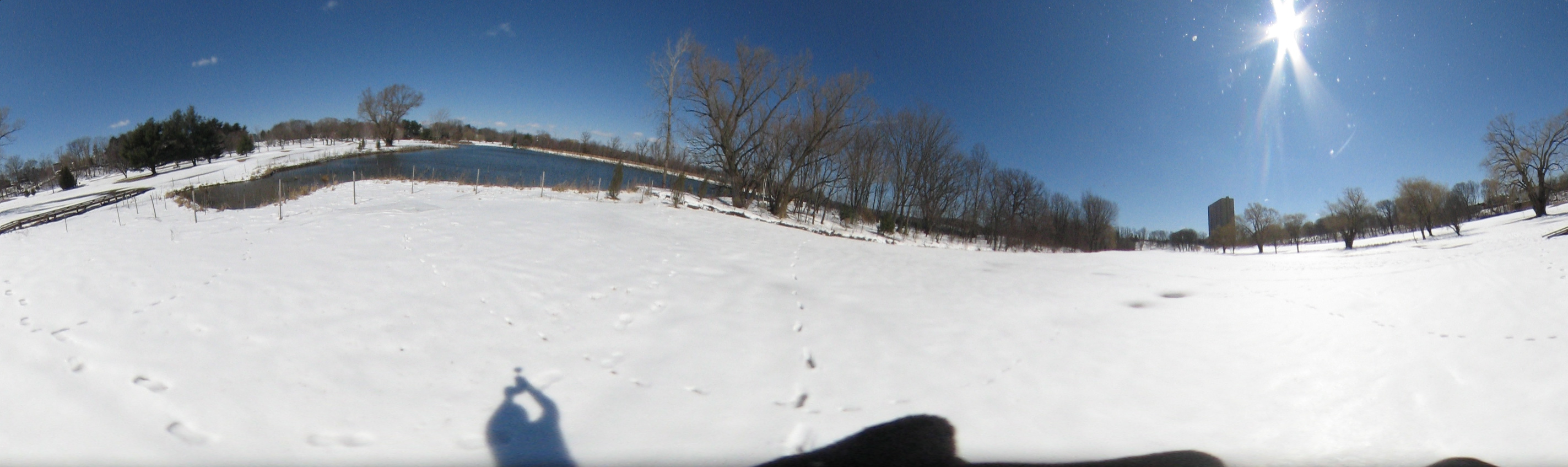 March 20, 2007, Harvard - Cambridge - Freshpond