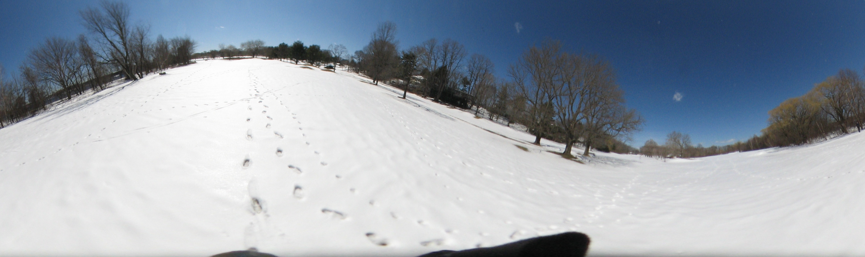March 20, 2007, Harvard - Cambridge - Freshpond