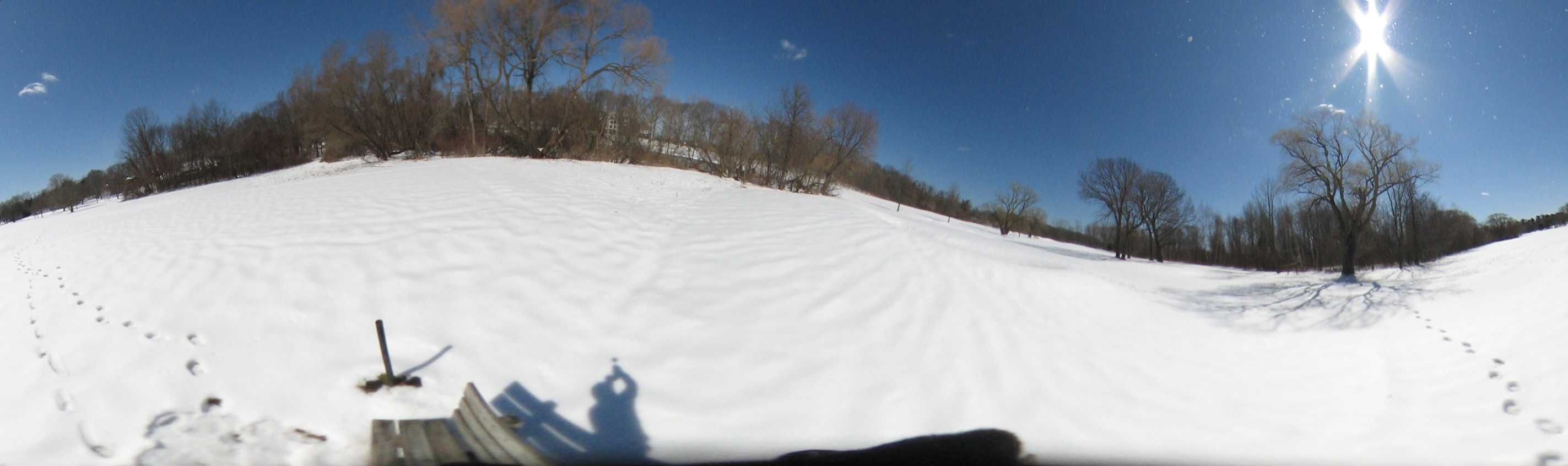 March 20, 2007, Harvard - Cambridge - Freshpond