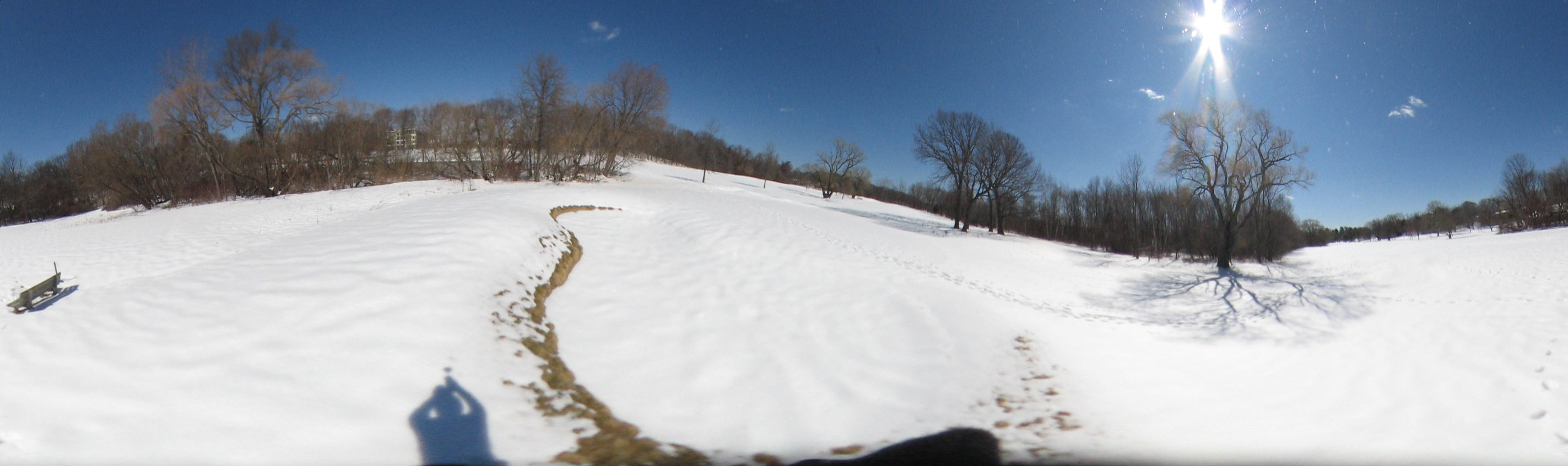 March 20, 2007, Harvard - Cambridge - Freshpond