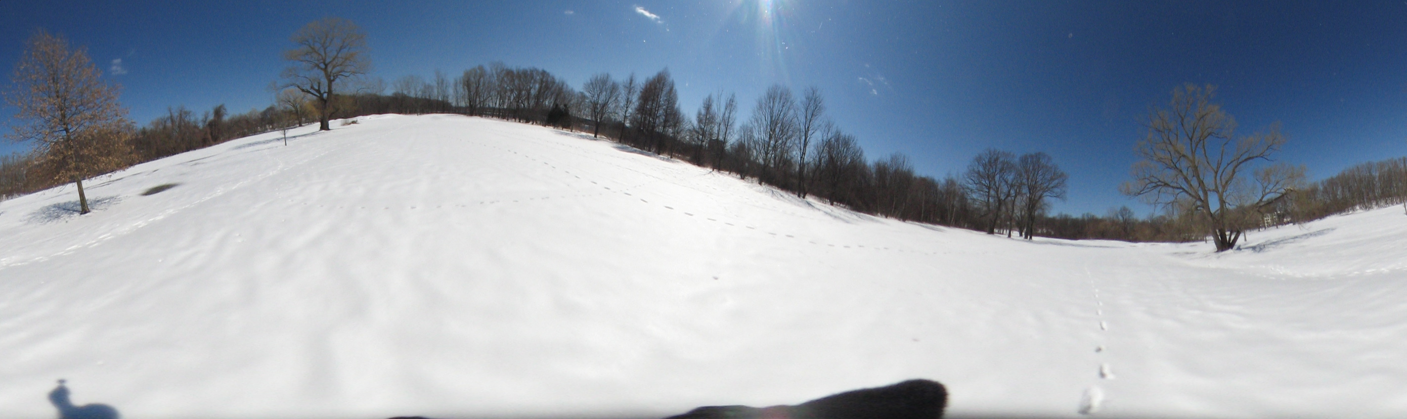 March 20, 2007, Harvard - Cambridge - Freshpond