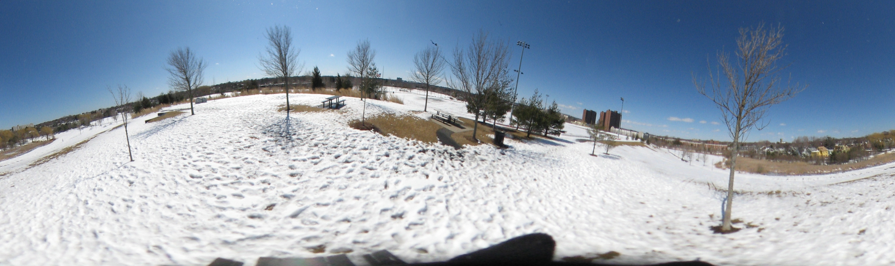 March 20, 2007, Harvard - Cambridge - Freshpond