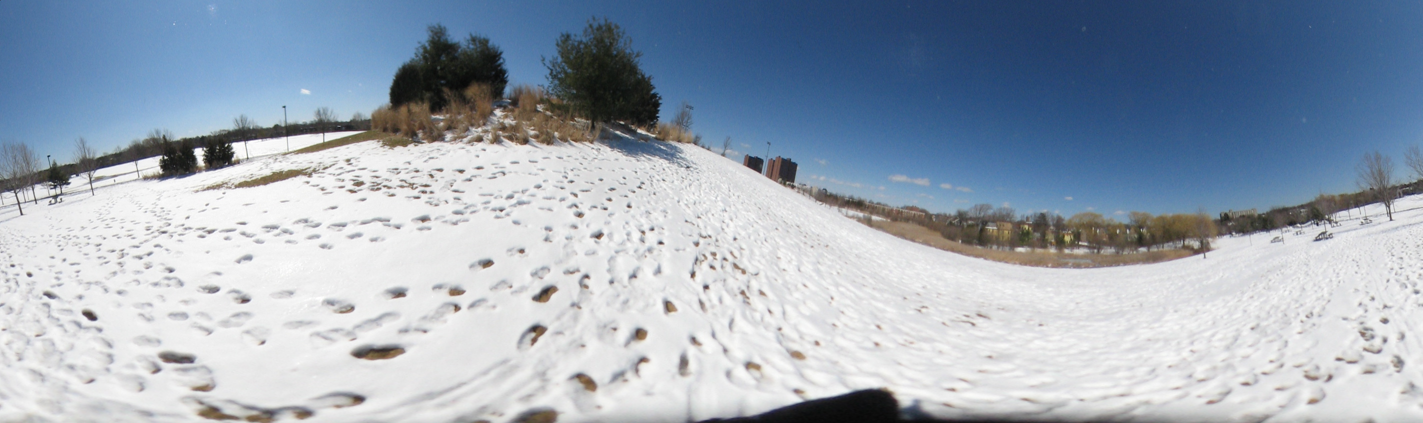 March 20, 2007, Harvard - Cambridge - Freshpond