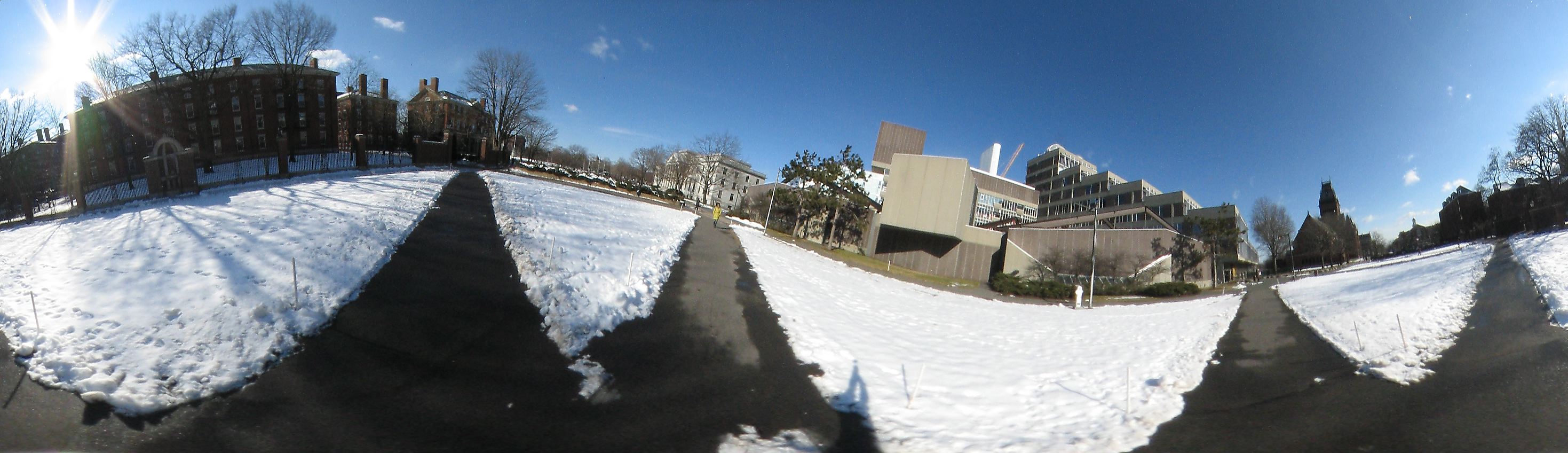 Harvard square near Harvard University