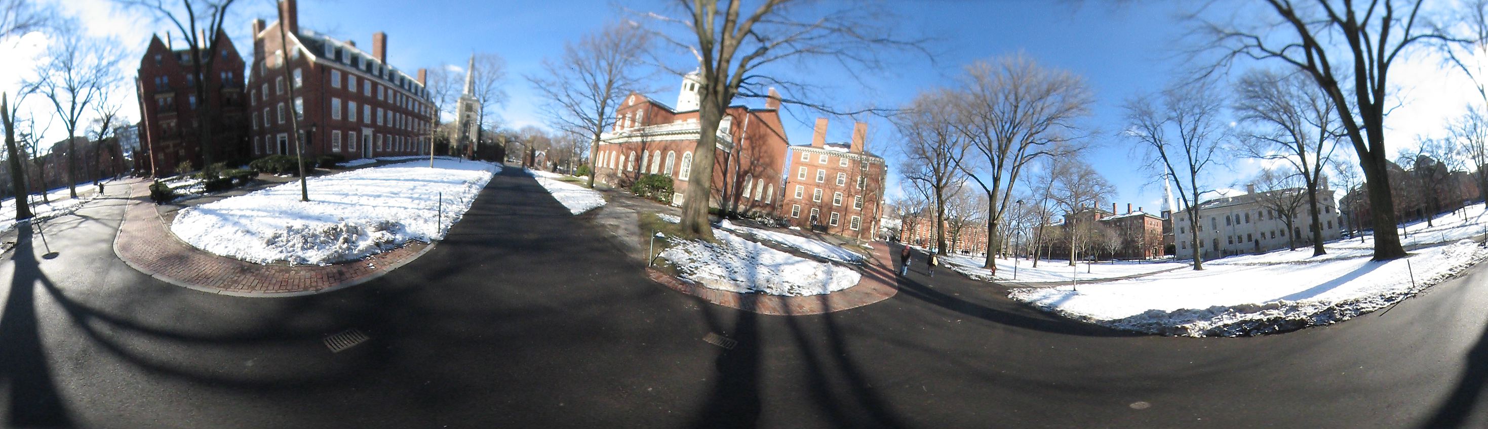 Harvard yard, Harvard University