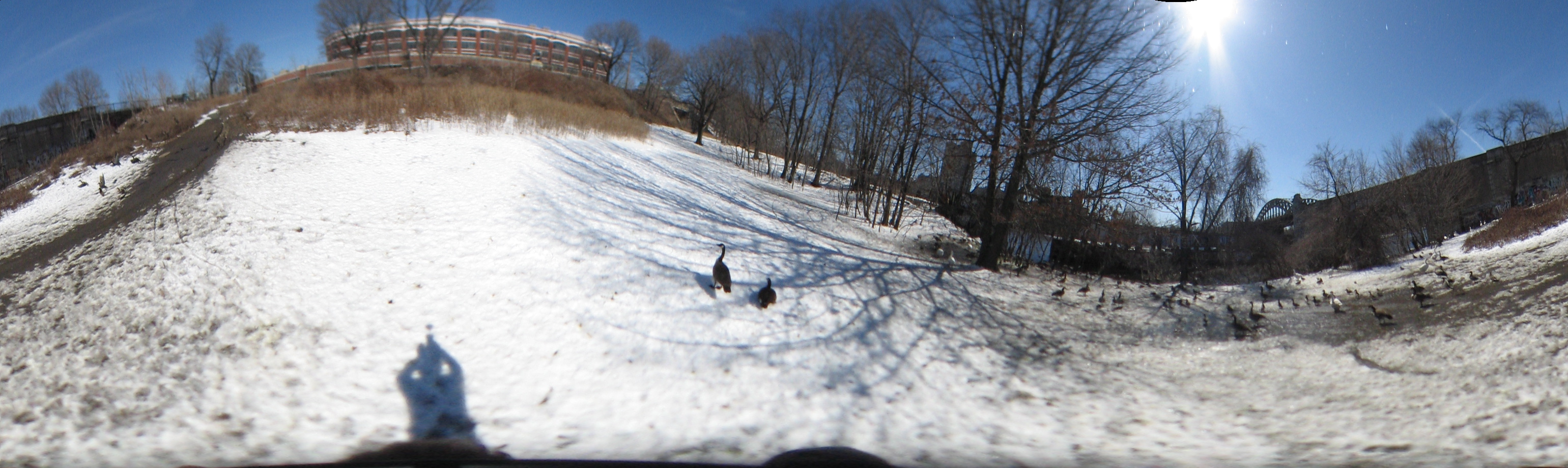 March 21, 2007, Harvard - Cambridge - MIT - Boston